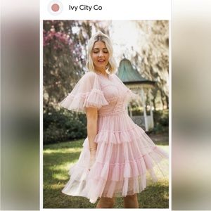Ivy City Co | Dresses | Nwt Ivy City Co Whimsical Short Dress Pink Size